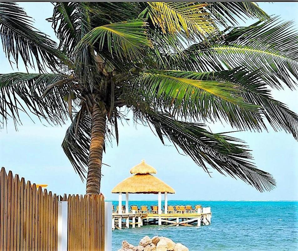 Velento Partial Ocean View Penthouse #7 Villa Caye Caulker Eksteriør billede